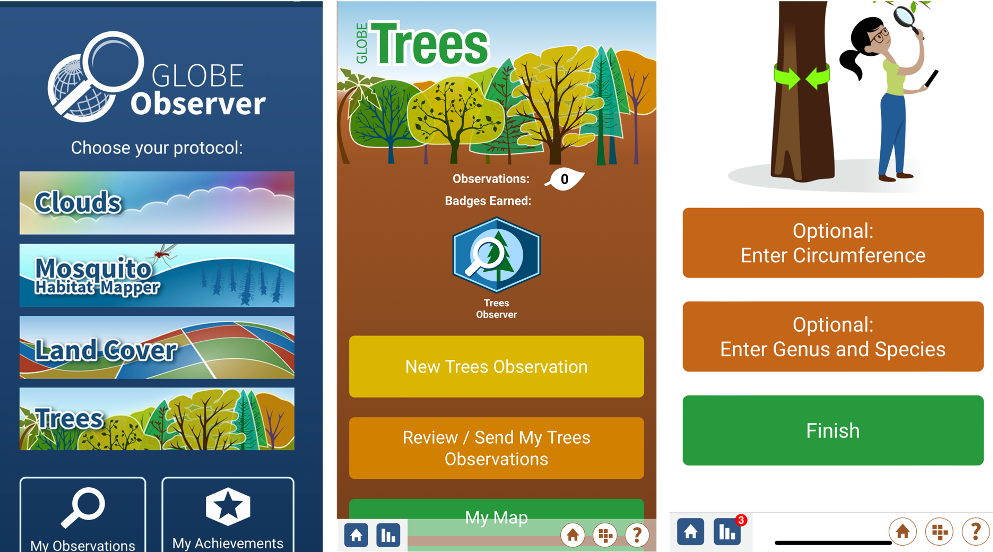 Three screenshots from the GLOBE Observer app. The first screenshot is of the GLOBE Observer home screen. The center screenshot shows the Trees tool homescreen. The right screenshot shows the new feature that allows volunteers to enter a tree's genus and species.